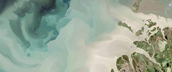 Simulating climate, air pollution, and nitrogen